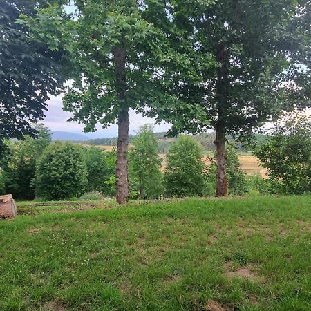 Appartamento Margherita Crespina Zewnętrze zdjęcie